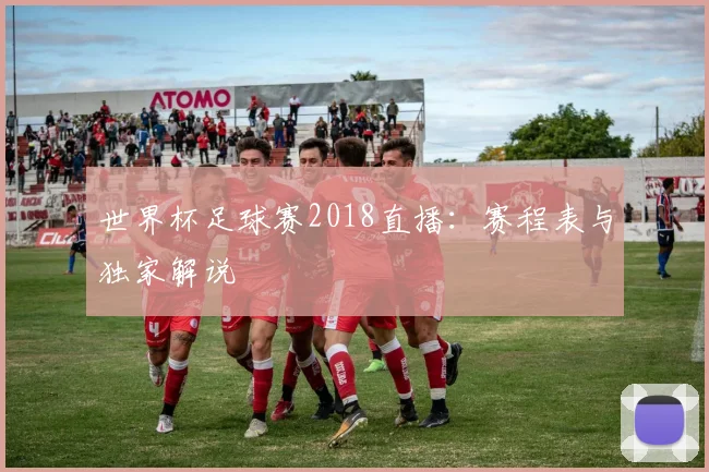 世界杯足球赛2018直播：赛程表与独家解说