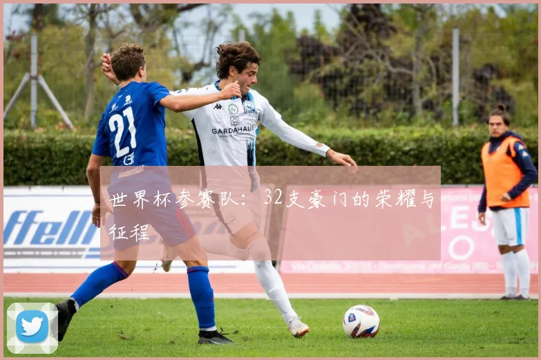 世界杯参赛队：32支豪门的荣耀与征程