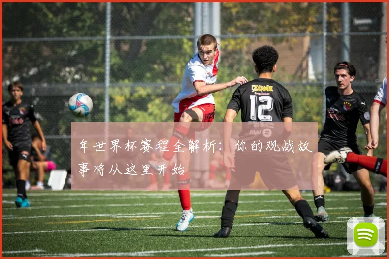 年世界杯赛程全解析:你的观战故事将从这里开始