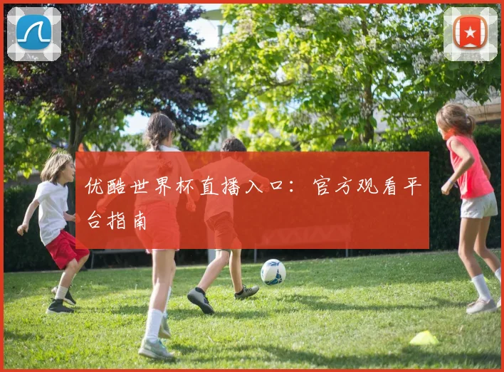 优酷世界杯直播入口:官方观看平台指南