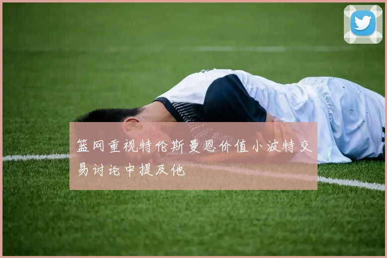 篮网重视特伦斯曼恩价值小波特交易讨论中提及他