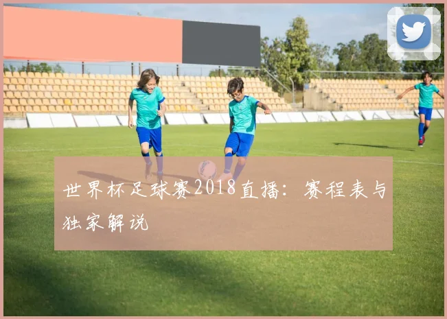 世界杯足球赛2018直播:赛程表与独家解说