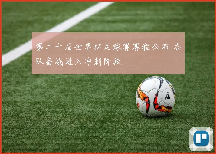第二十届世界杯足球赛赛程公布 各队备战进入冲刺阶段